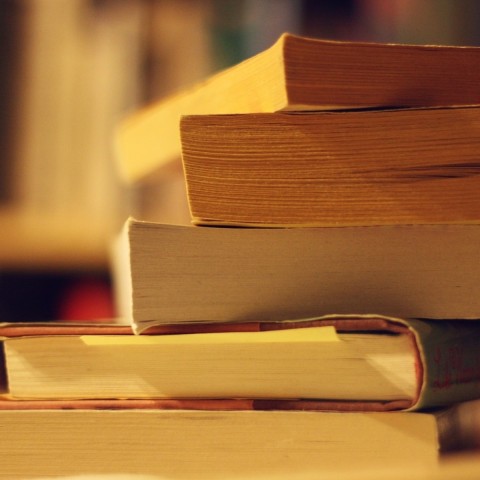 Книжный шкаф: 5 книг из курса школьной литературы
